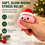 Mystery Dumplings™ Squishy Advent Calendar - 2026 Edition